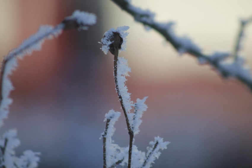 Штормовое не планирует отступать: на Ставрополье снова пообещали заморозки до -3