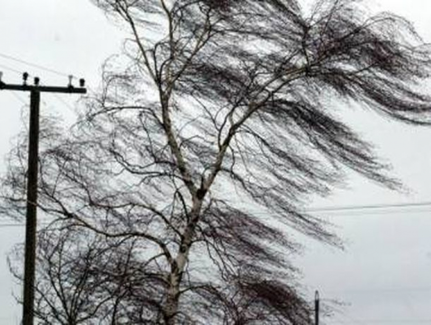 Тепло и ветрено будет в Ставрополе в среду