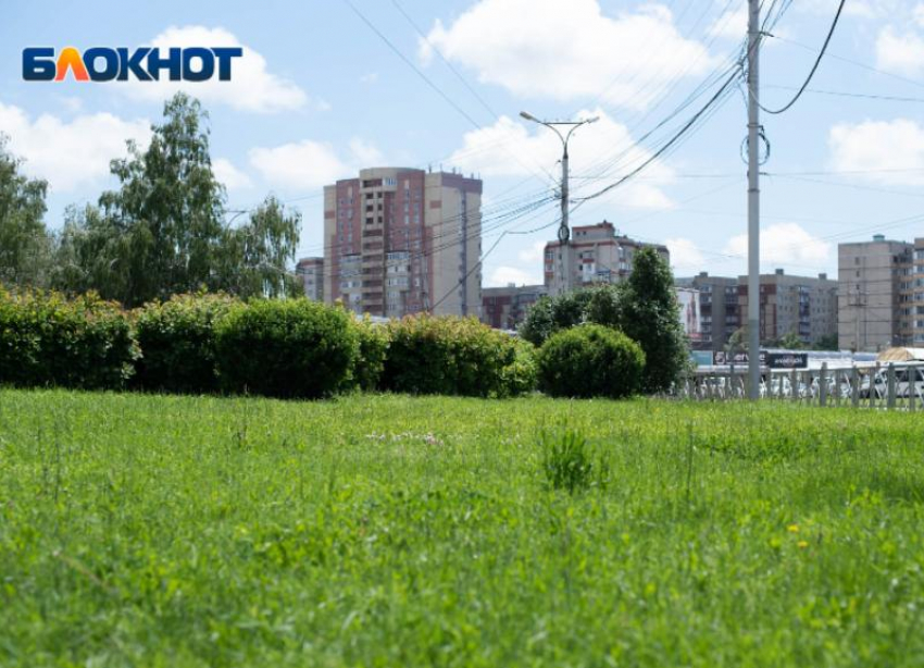 В понедельник в Ставрополе ожидается жара 