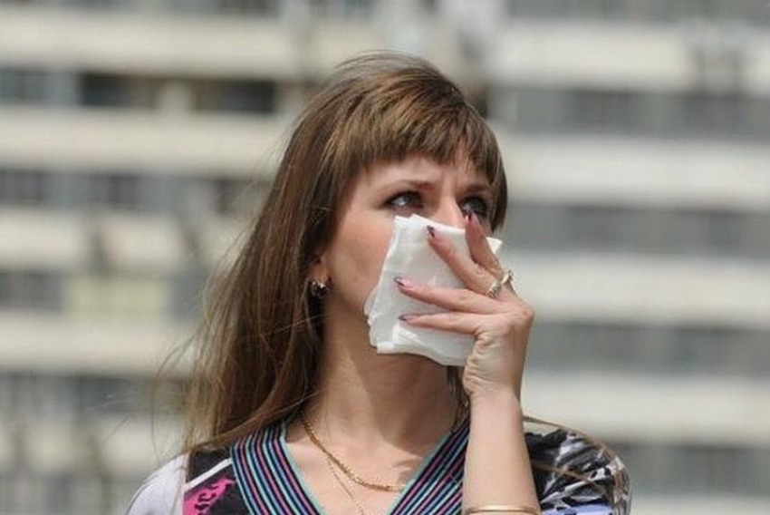 Никакой холеры: губернатор Ставрополья заявил о безопасности воздуха 
