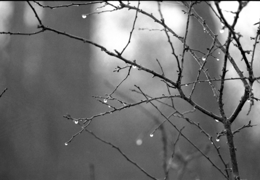 Туман, гололед и похолодание ожидаются на Ставрополье