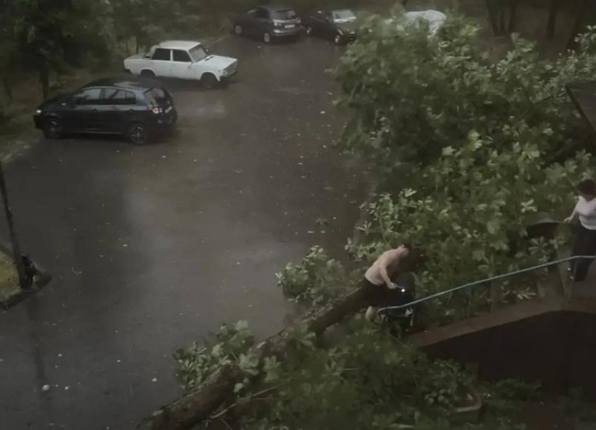 В Минводах дерево рухнуло на машину и окна, в Садовом прошел град: подробности шторма на Ставрополье