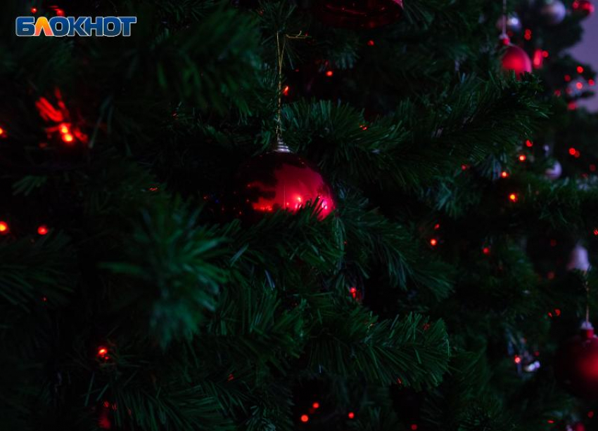 На Ставрополье губернаторская новогодняя елка состоится с учетом ковидных ограничений