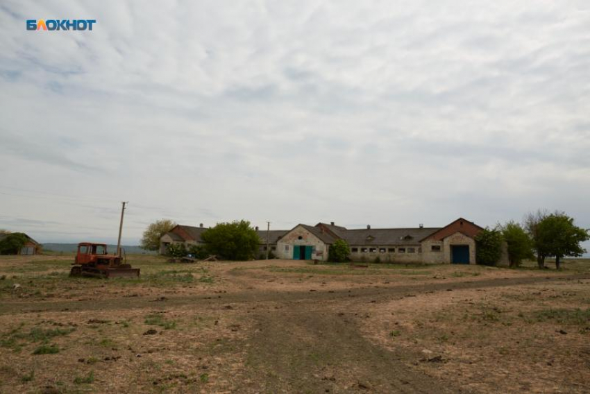 До конца года у жителей Ставрополья соберут данные о подворьях и сельхозпродукции