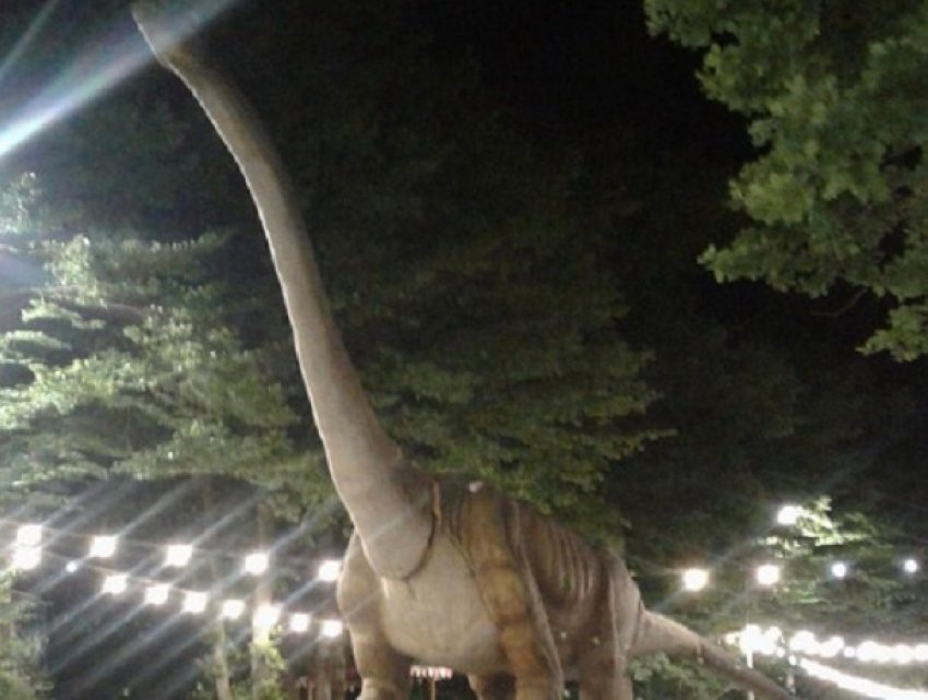 Огромный динозавр появился в парке Победы в Ставрополе