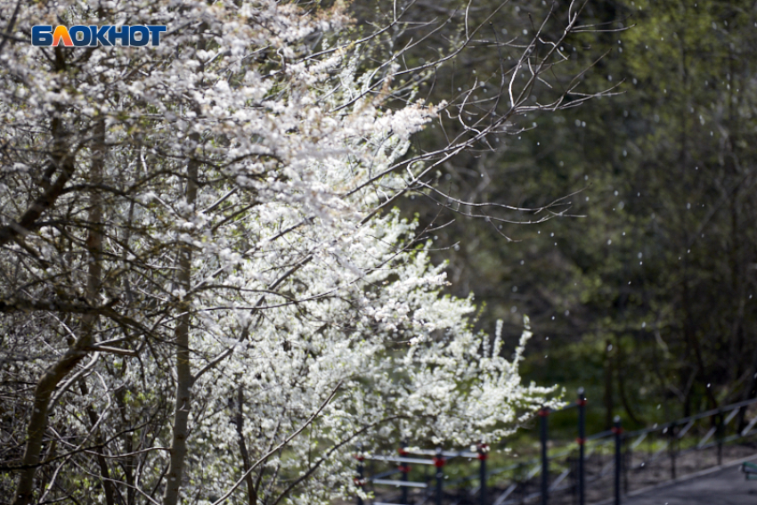 Сильный ветер и небольшой дождь прогнозируют синоптики 9 марта в Ставропольском крае