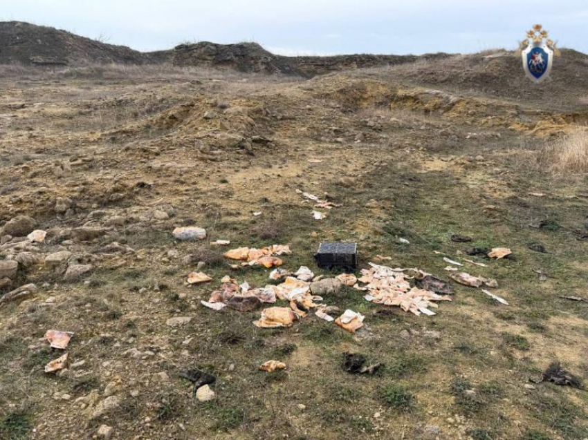 Госучреждение разрушило на Ставрополье почву на 5,2 гектара и нанесло ущерб почти на 108 миллионов