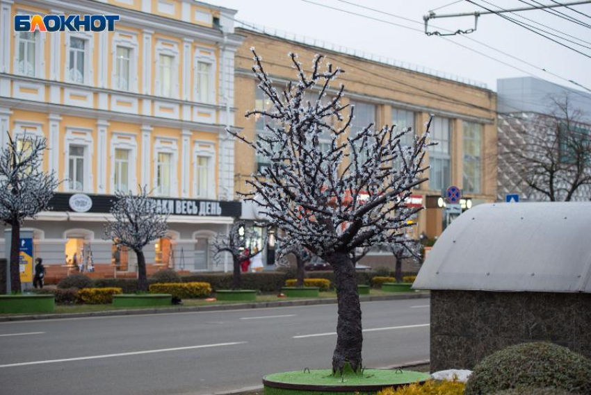 Светодиодные деревья и «Звездное небо» в Ставрополе выучат гимн и флаги за 31 миллион рублей 