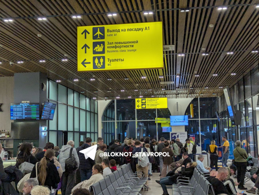 Три досмотра и ревущие белугой дети: полет в Санкт-Петербург из Ставрополя обернулся задержкой на 8 часов 