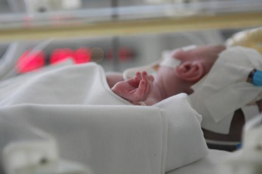 Младенец умер после удара матери по голове на Ставрополье