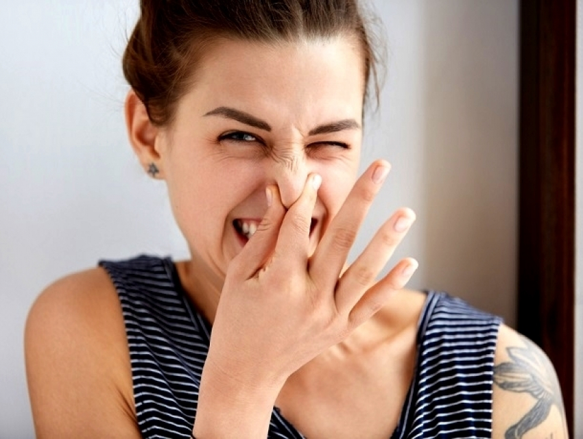 Большинство ставропольцев не нюхают своих новых знакомых