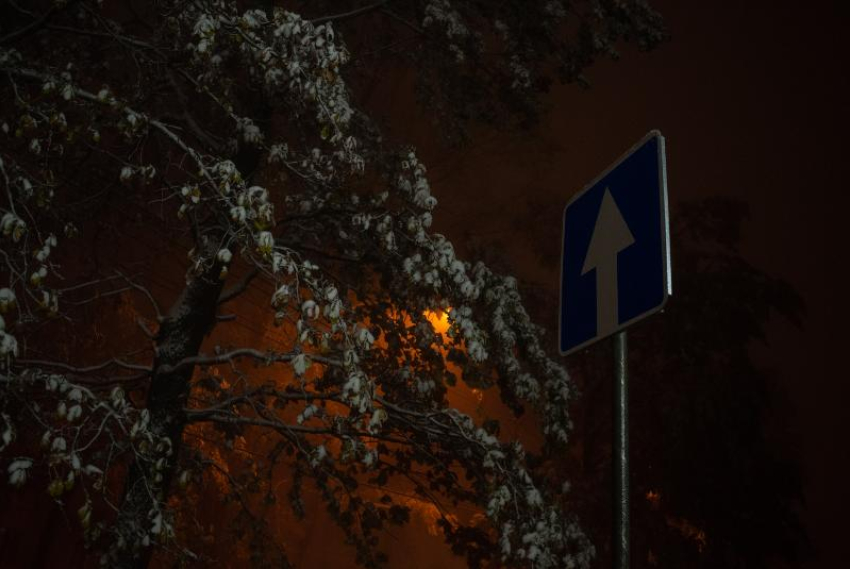 Въезд в леса перед началом осени продлили на Ставрополье 