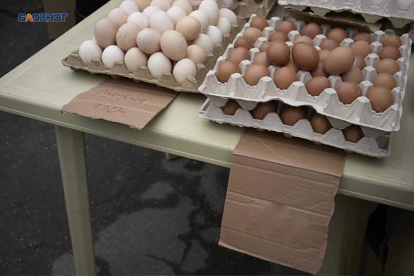 Производства яиц и мяса просели в Ставропольском крае в 2025 году