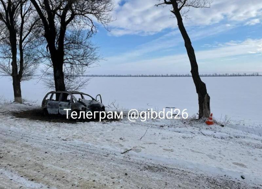 Семейное авто загорелось после столкновения с деревом на трассе на Ставрополье