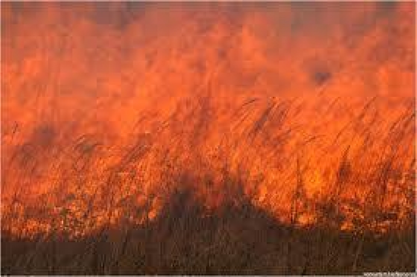 На Ставрополье пожарные сутки пытались побороть огненную стихию