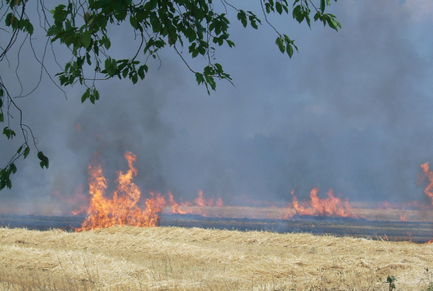Около 240 пожаров произошли на Ставрополье за выходные