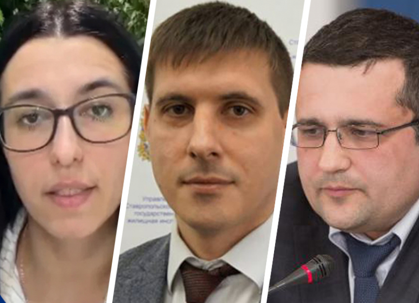 Травля ребенка, конфискация имущества у чиновника и гнев зоозащитников: что интересовало ставропольцев в преддверии 8 Марта