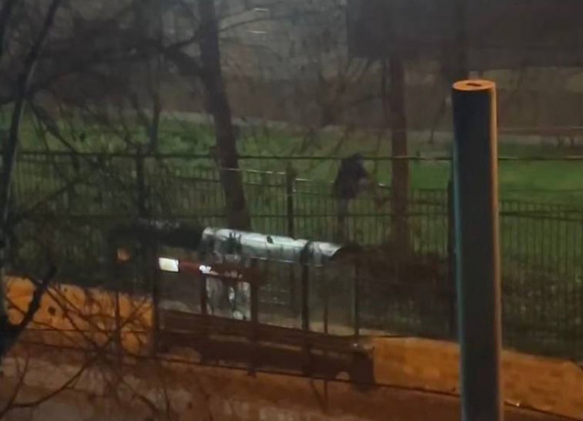 Разбившего остановку и забравшегося на территорию школы мужчину в Ставрополе ищет полиция 