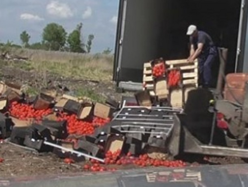 900 килограммов турецких томатов уничтожили в Пятигорске