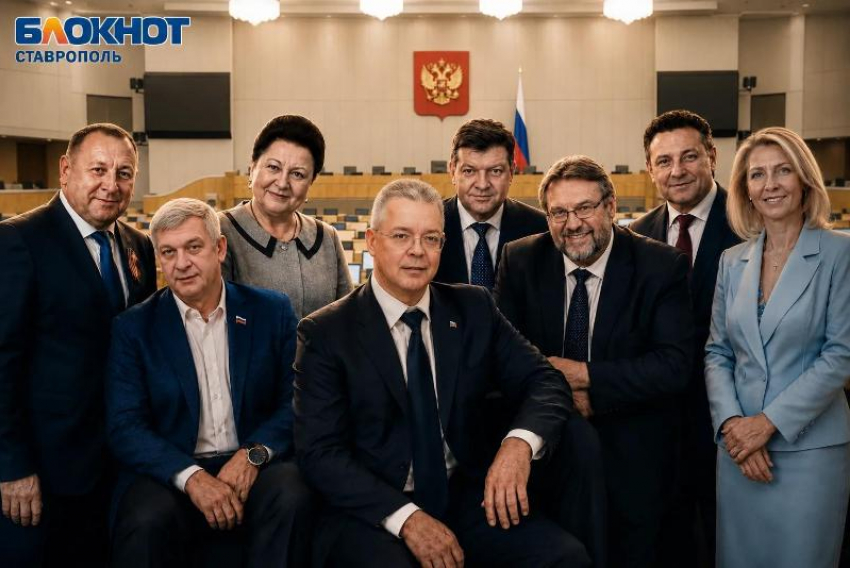 Миллионы на счетах, премиум авто и тысячи метров земли: с чем идут на выборы ставропольские кандидаты в Госдуму РФ