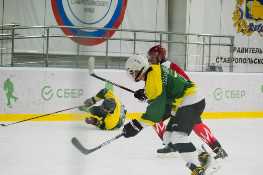 Разыграли и медали, и путевки в Сочи: сезон в ставропольской Ночной хоккейной лиге завершен 