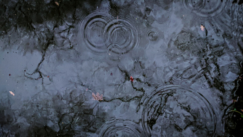 Весна с характером: дожди и ветер придут в Ставрополь 25 апреля 