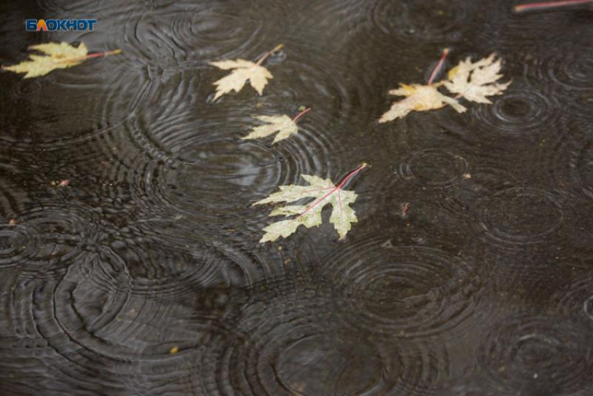 Морось и ноль градусов обещают синоптики ставропольцам 3 декабря