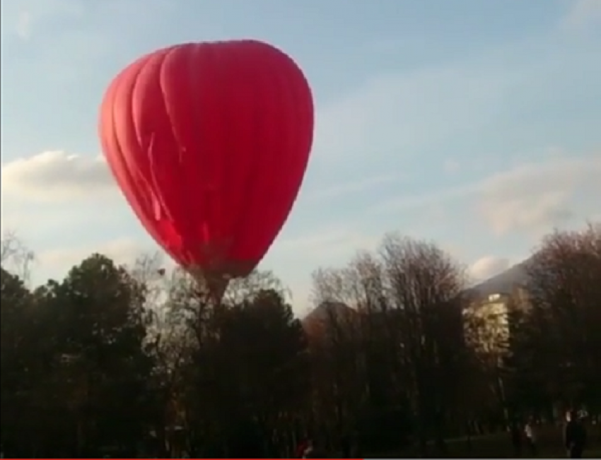 Воздушный шар застрял на дереве в парке Пятигорска
