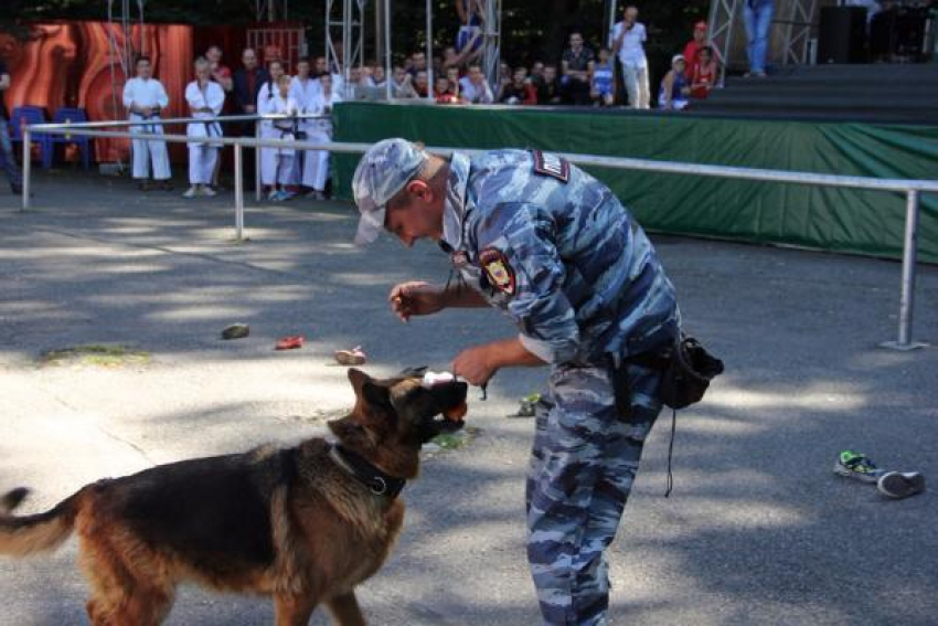 Полицейские-кинологи  Ставрополья поразили уровнем дрессировки участников акции «Фестиваль здоровья» 