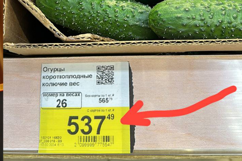 Килограмм огурцов на Ставрополье стоит 536 рублей в сетевом гипермаркете