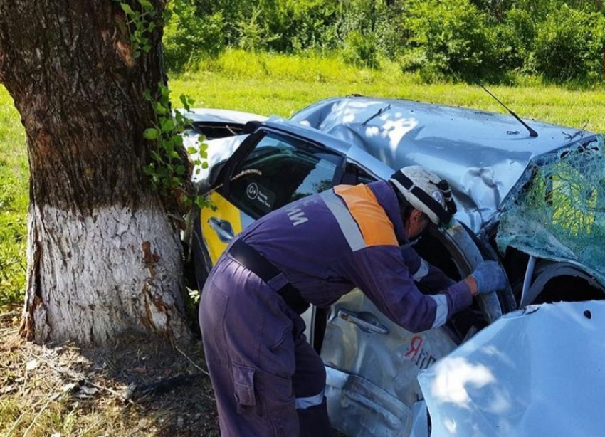 Ставропольский таксист чудом остался жив, на скорости протаранив дерево