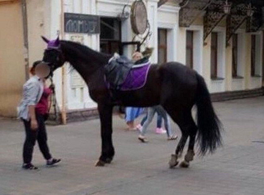 Ситуацию со сбившей женщину и ребенка лошадью проверит следком Ставрополья 