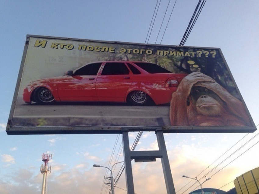 Владельцы авто на Ставрополье удивляют даже обезьян