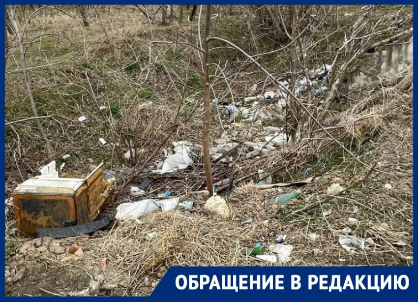 «Мусор разносит по всей округе»: свалка на Северном обходе Ставрополя возмутила горожанку