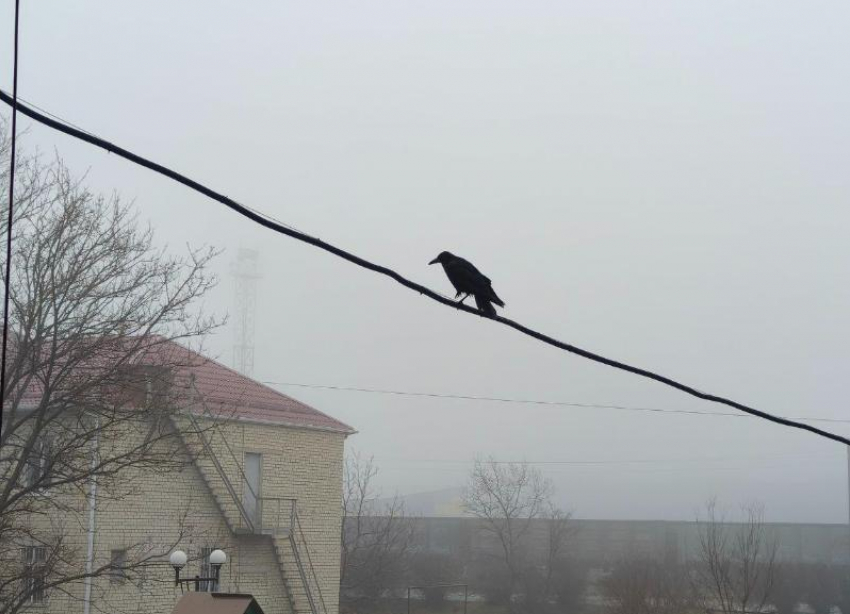 Погода в Ставрополе 2 марта утром ударит морозом, а днем обманет оттепелью