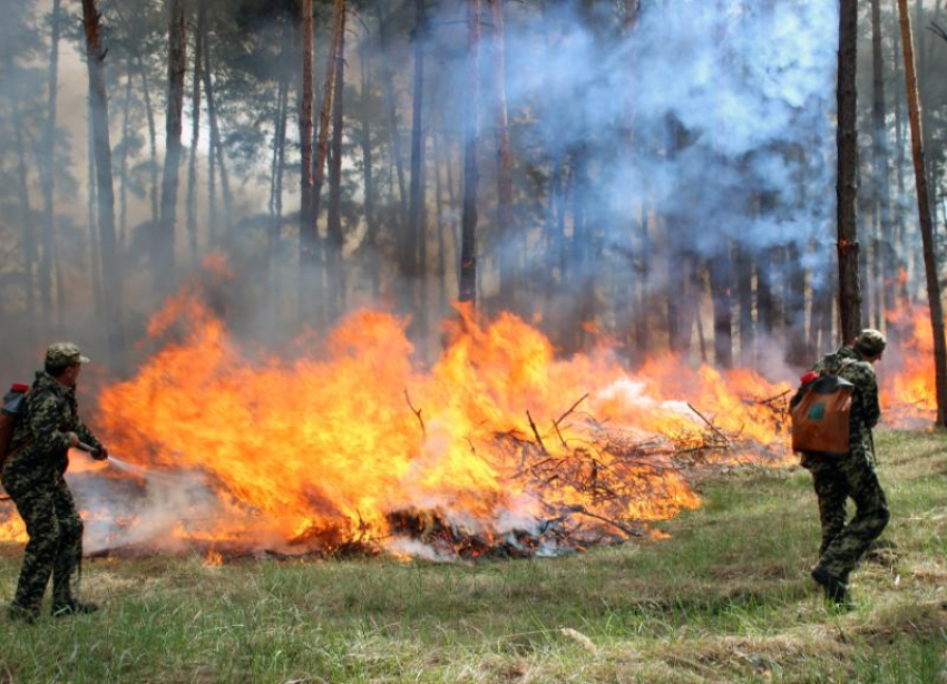На Ставрополье объявлен режим чрезвычайной пожароопасности