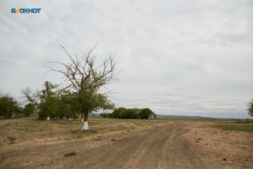 Температурные качели от -5 до +6 ждут Ставрополье 18 декабря