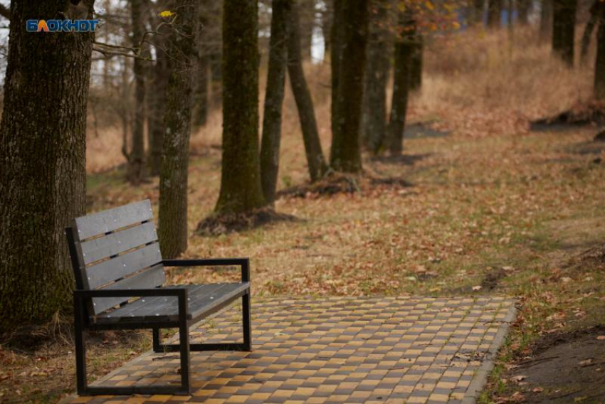 Дожди вернутся на Ставрополье вместе с туманом