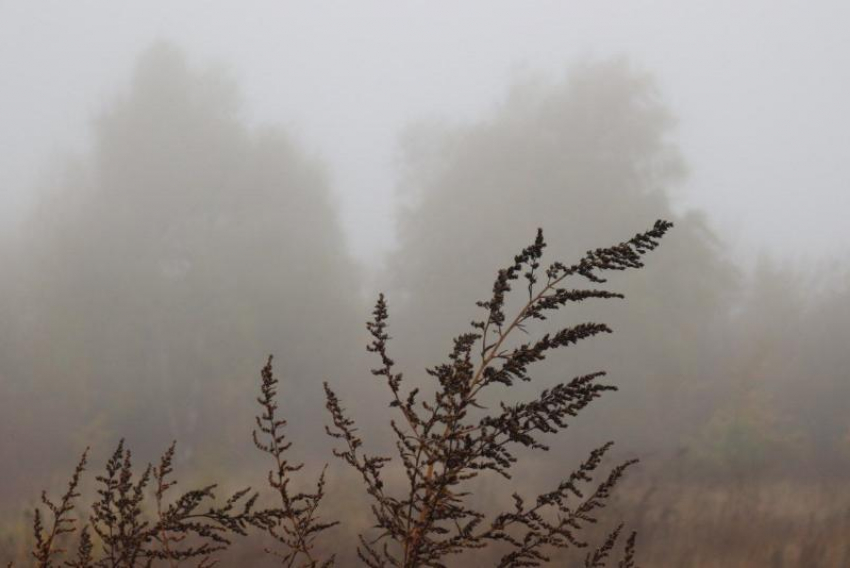 Туман и дожди настигнут Ставрополье 28 октября