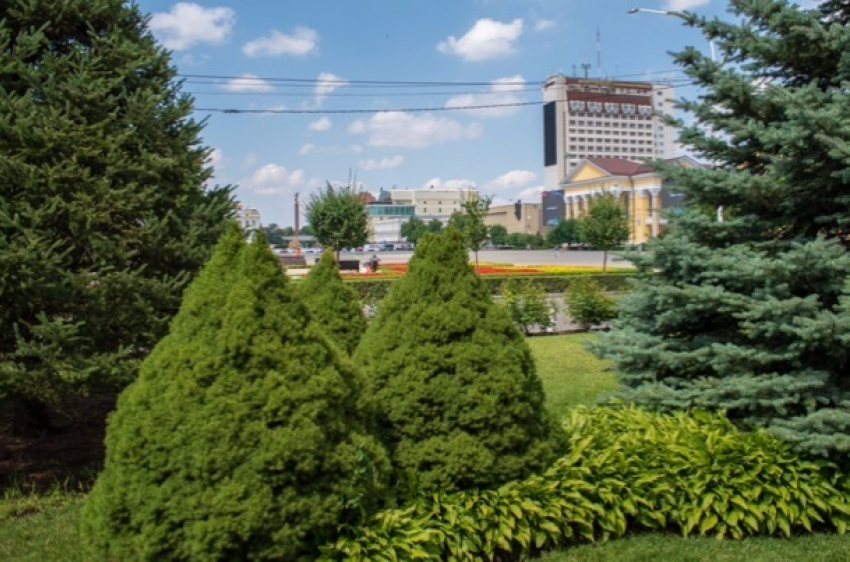 Середина недели в Ставрополе будет солнечной и жаркой