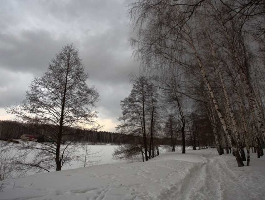 «Хмурое» небо и небольшие заморозки ждут Ставрополье в воскресенье