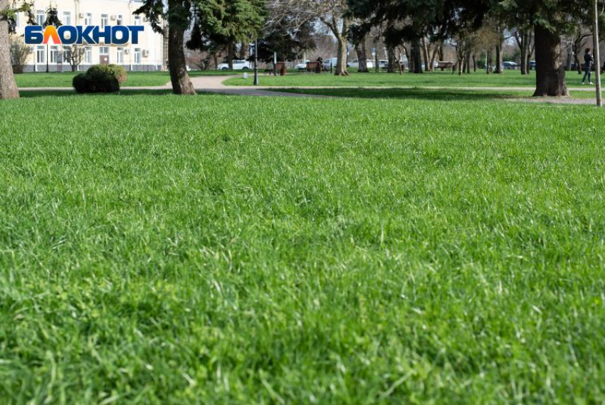 Адское пекло до 40 градусов  пообещали жителям Ставрополья вплоть до 5 августа