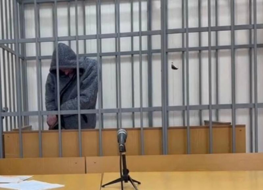 Осквернившего мемориал Воинской Славы в Кисловодске отправили под стражу 