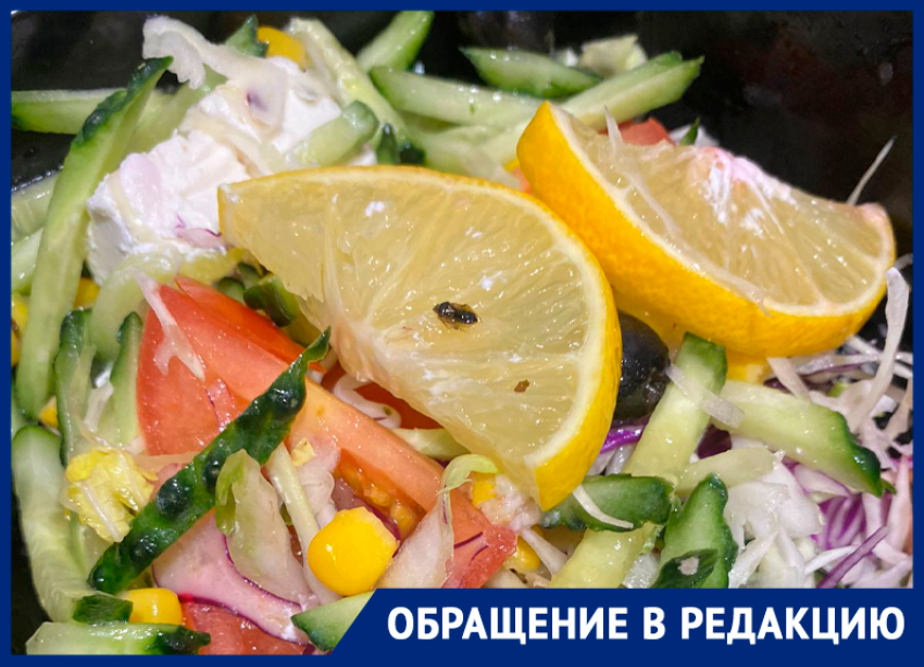 Мертвого таракана в салате из кафе нашла жительница Ставрополя 