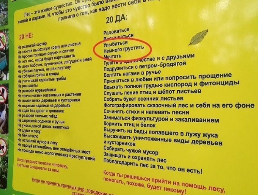 Спасти жука и подружиться с бродягой-ветром порекомендовали ставропольцам на новой эко-тропе 