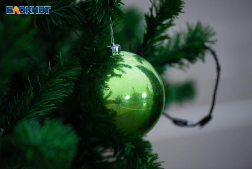 Специалисты рассказали о правилах выбора новогоднего кулька для своих детей на Ставрополье