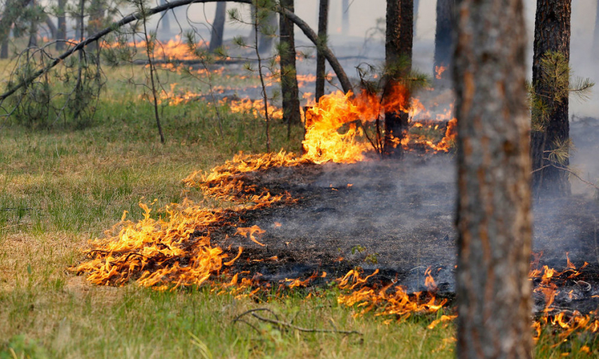 На Ставрополье снова существует вероятность пожаров