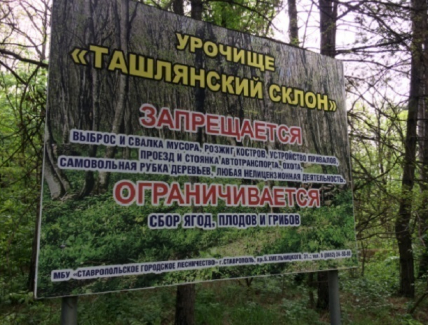 Свалку на Ташлянском склоне администрация Ставрополя собралась убирать шесть лет вместо двух месяцев