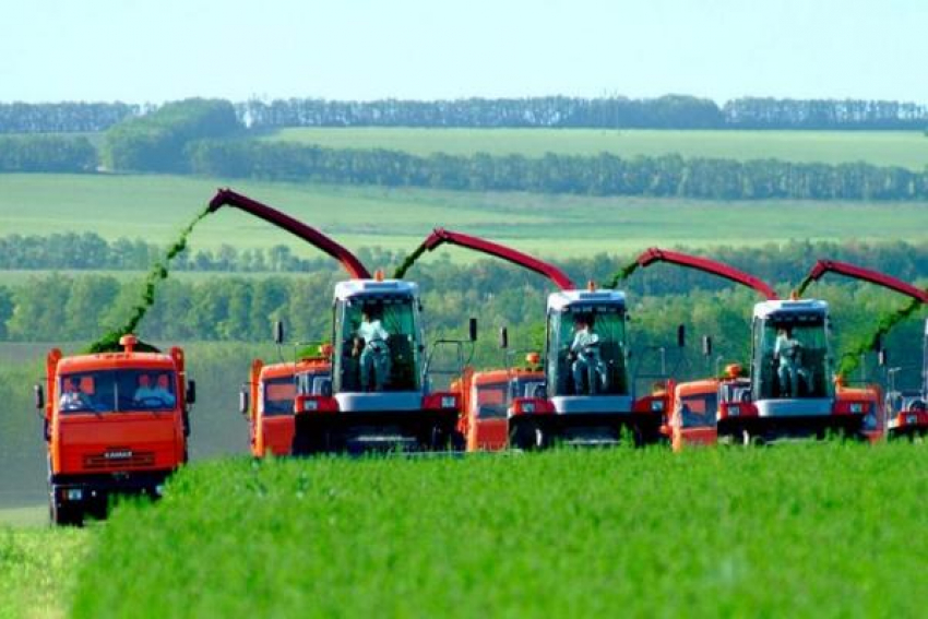 Почти 7 млрд рублей выделили на развитие сельского хозяйства Ставрополья