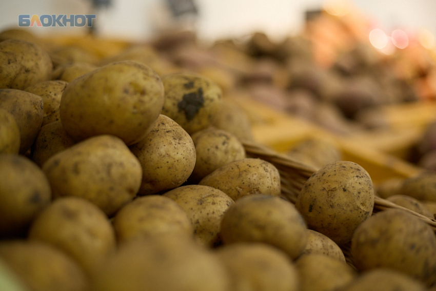 Картофель и лук стали доступнее для жителей Ставрополья